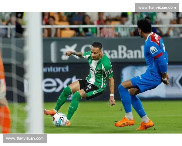 从零开始的西甲足球联赛观赛入门与球队文化全解析规则历史战术看点